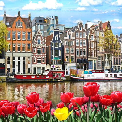 阿姆斯特丹运河上的郁金香